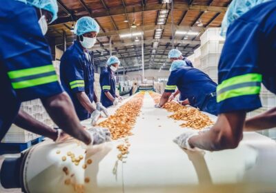 Benefits of Hiring Food Manufacturing Services in New Orleans